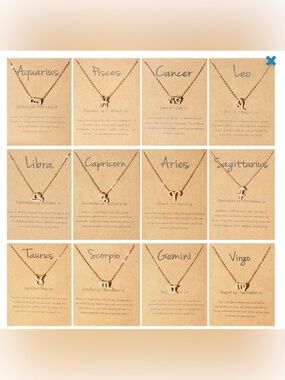 Zodiac Necklace in Gold (All 12 Signs Available)